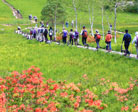 花の宝庫　入笠湿原・入笠山