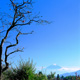 富士山の四季