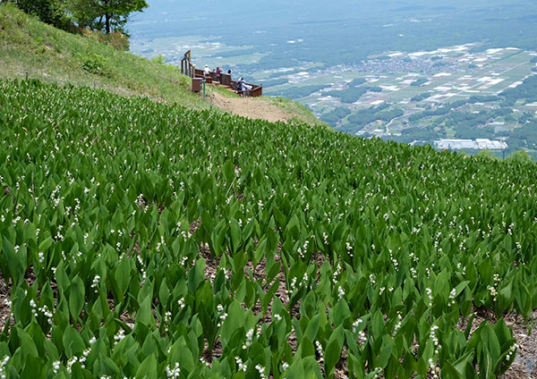 佳作「すずらん園の特等席」 野池明登