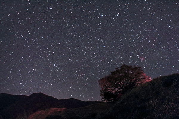 佳作「田端のしだれ桜星景」 宮地眞樹