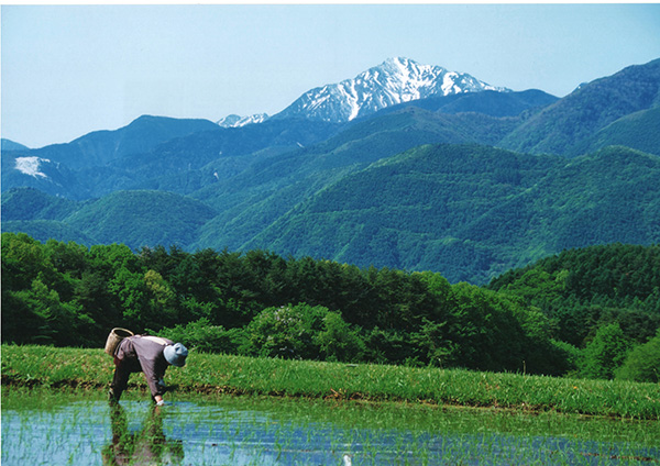 町民賞「田植えのころ」中山文香