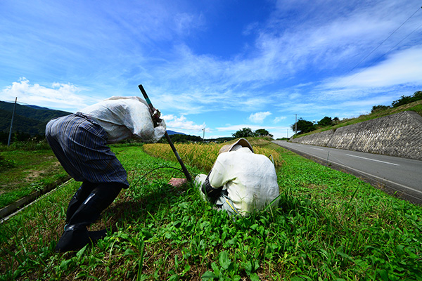 長野日報賞「ごしてえなぇ」植松洋一