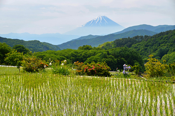 佳作「春うららかな里山」中村清治