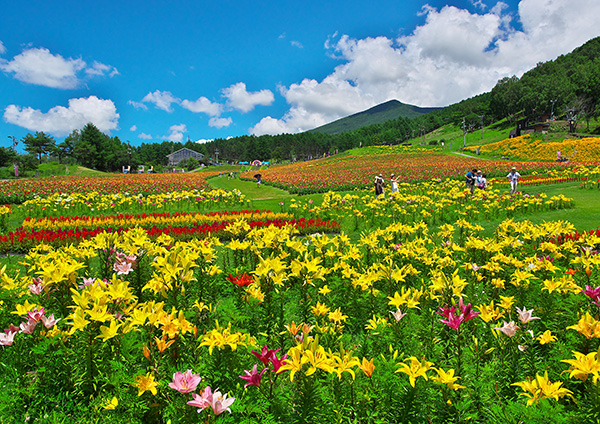 佳作「高原の花園」佐川隆博