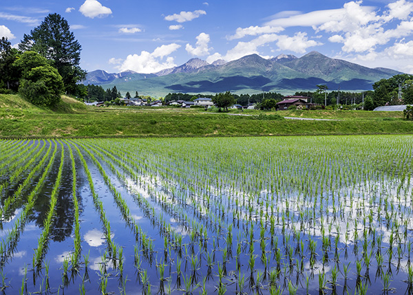 八ヶ岳部門　佳作、町民賞「水と緑と・潤う山麓」伊藤忠彦