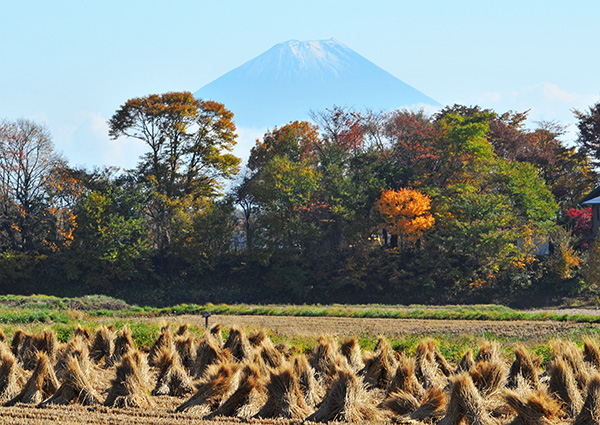 富士山部門優秀賞 「静寂な晩秋」　中村清治