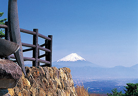 創造の森 展望台から望む富士山