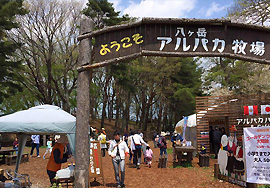 八ヶ岳アルパカ牧場