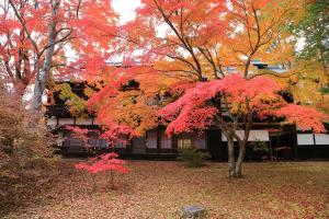 残したい風景