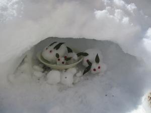 雪ウサギ