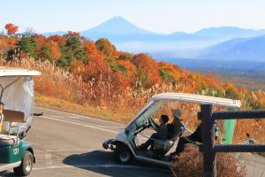 僕が運転したよ