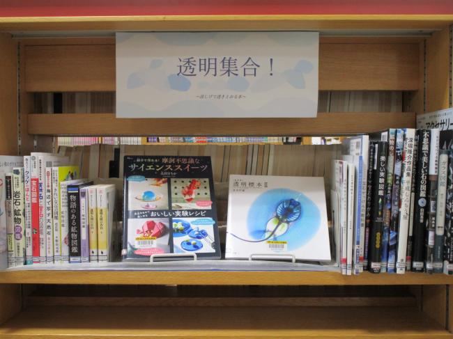 透明集合！　画像