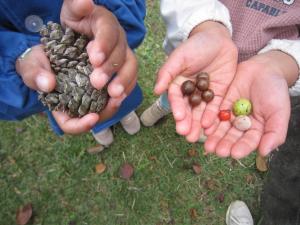 木の実を持つ子どもの手