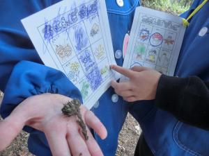 お散歩ビンゴの写真