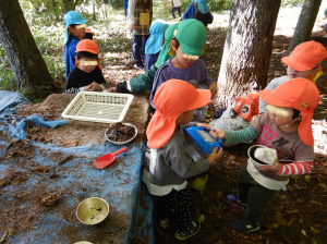 青の森でおままごとをしているところ