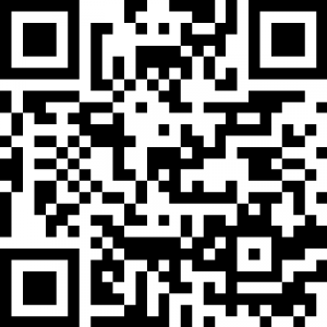 R8　NZ派遣検討会QR