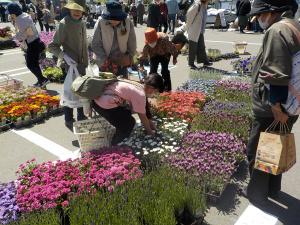 花苗の購入を考える参加者