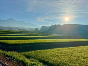 東條健_八ヶ岳と緑の波