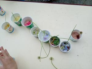 カップに入れた花びら