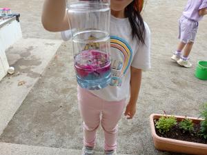 ペットボトルの色水